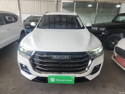 2023 Haval H6 National Trend Edition 1.5T Automatic Champion, фото 3, лот 10286774