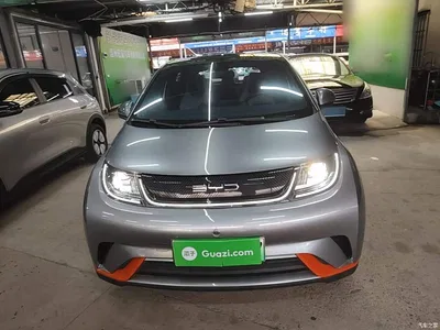 2021 BYD Dolphin Model 405km Fashion Edition, фото 3, лот 10259702