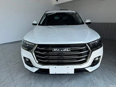 2021 Haval H6 Model National Trend Edition 1.5T Auto Champion, фото 3, лот 10481214