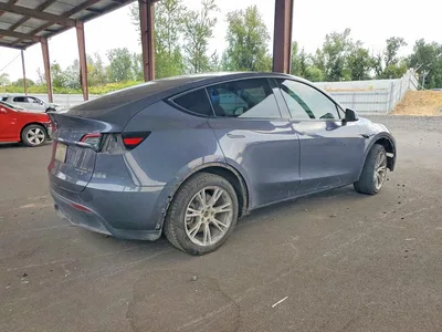2023 TESLA MODEL Y, фото 3, лот 10854093