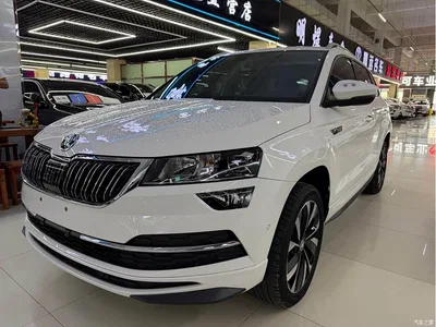 2021 Škoda Karoq TSI280 Luxury Edition, фото 1, лот 10356930