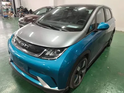 2021 BYD Dolphin 401km Knight Edition, фото 1, лот 10334524