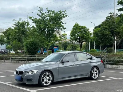 2017 BMW 3 Series 320Li M Sport, фото 3, лот 10457443