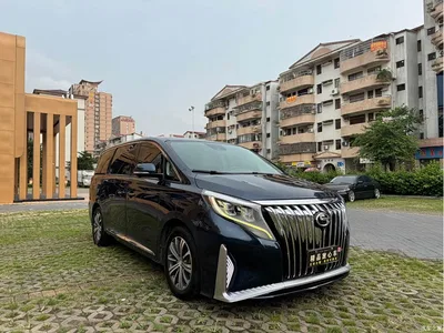 2018 GAC Trumpchi Trumpchi M8 320T Flagship Edition, фото 3, лот 10415282