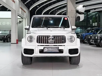 2020 Mercedes-Benz G-Class G 350, фото 2, лот 10888618