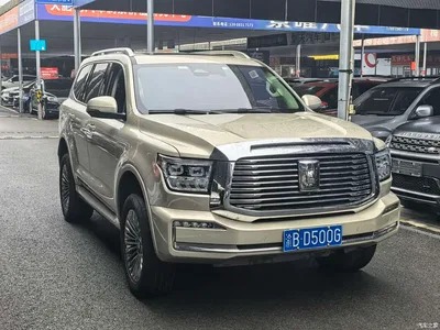 2022 Tank 500 3.0T Business Edition Dengfeng 5-Seater, фото 3, лот 11223393