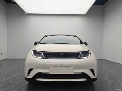 2024 BYD Dolphin Glory Edition 420km Freedom Edition, фото 2, лот 11537910