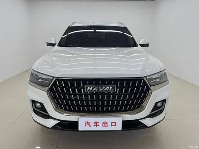2023 Haval H6 National Trend Edition 1.5T Automatic Champion, фото 2, лот 10680243