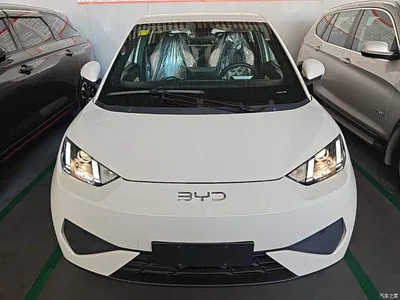 2025 BYD Seagull Smart Drive Edition 305km Vitality Version, фото 3, лот 10262910