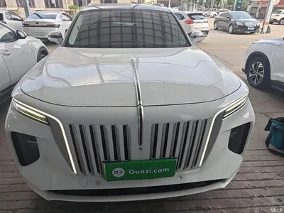 2022 Hongqi E-HS9 690km Qi Xiang Edition (6-seater), фото 3, лот 10289417