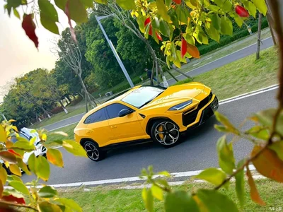 2021 Lamborghini Urus 4.0T V8, фото 3, лот 10308836