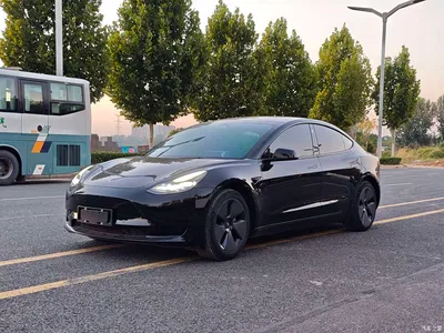 2022 Tesla Model 3 Model Rear-Wheel Drive Version, фото 1, лот 11584787