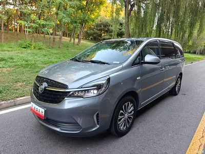 2022 Buick GL8 Land Business Class 652T Luxury, фото 1, лот 11568113