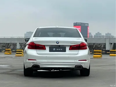 2019 BMW 5 Series New Energy Facelift 530Le Pioneer Edition, фото 4, лот 10474148