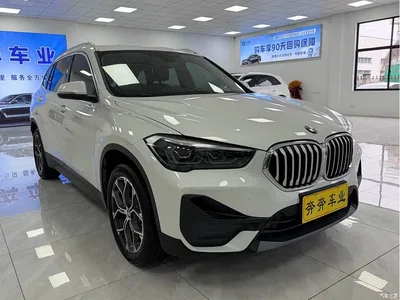 2020 BMW X1 sDrive25Li Leading Model, фото 2, лот 10466306