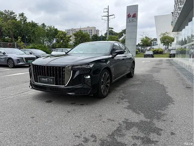 2024 Hongqi H9 2.0T Qi Chang Private Fashion Edition, фото 1, лот 10288421