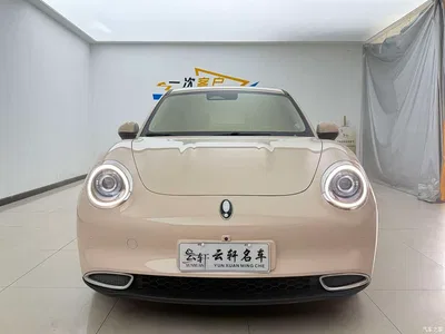 2023 Ora Good Cat 401km Standard Range Honor Edition (LFP), фото 2, лот 11565855