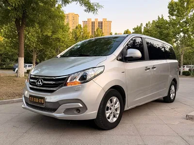 2014 SAIC Maxus Maxus G10 2.0T Automatic Luxury Executive Edition, фото 1, лот 11160680