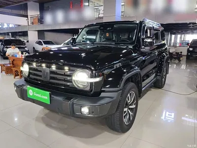 2021 Tank 300 Urban Edition 2.0T Stylish, фото 2, лот 10387764