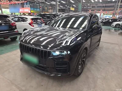 2021 Lynk & Co 09 EM-P 2.0T PHEV Halo 6-seater, фото 1, лот 10317498
