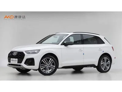2023 Audi Q5L 40T Luxury Dynamic, фото 1, лот 10413155