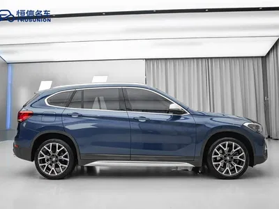 2021 BMW X1 xDrive25Li Exclusive, фото 4, лот 10605582