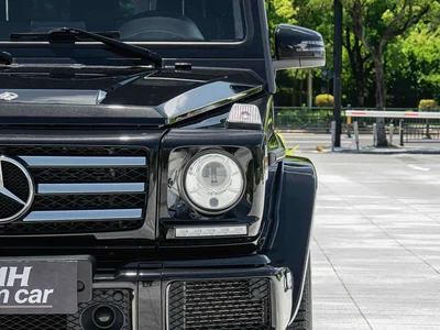2017 Mercedes G Klasse, фото 3, лот 10246538