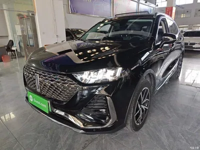 2022 WEY Latte DHT-PHEV 1.5T 2WD Extra Large Cup, фото 2, лот 10957864