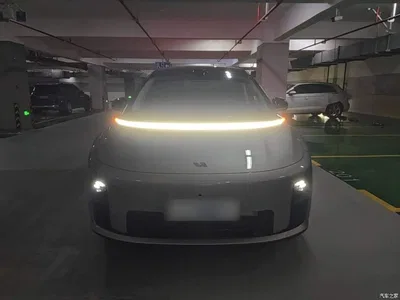 2025 Li Auto Li i8 Standard Edition, фото 3, лот 10821994