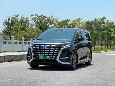 2024 Denza D9 DM-i 980 AWD Flagship, фото 1, лот 10345997