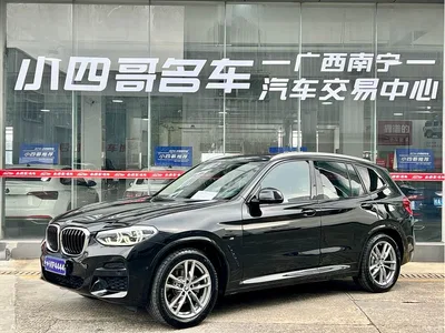 2019 BMW X3 xDrive28i M Sport Package, фото 1, лот 10407548