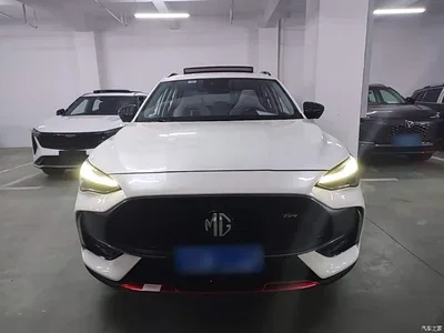 2021 MG Pilot 400TGI Automatic 2WD Trophy Flagship Edition, фото 3, лот 10327300