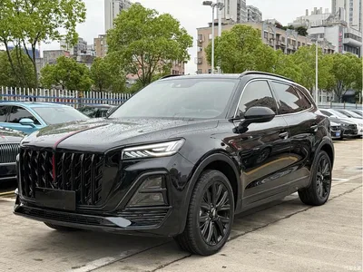 2025 Hongqi HS5 2.0T 2WD Mystic Shadow Edition, фото 1, лот 10288685