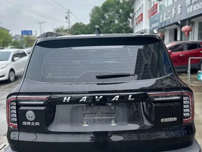 2021 Haval Big Dog 1.5T DCT 2WD Border Collie Edition, фото 4, лот 10812377