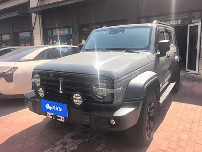 2021 Tank 300 Off-road Version 2.0T Conqueror, фото 1, лот 10481100