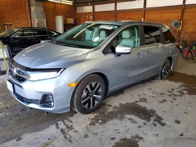 2026 HONDA ODYSSEY EXL, фото 1, лот 10697411