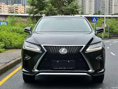 2016 Lexus RX 300 4WD F SPORT Edition China VI, фото 2, лот 10315497