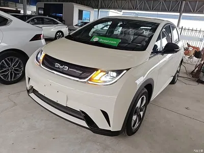 2025 BYD Dolphin 420km Freedom Edition, фото 1, лот 10264244