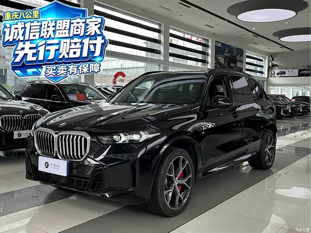 2023 BMW X5 xDrive 30Li Premium M Sport Black Night Package, фото 1, лот 11222456
