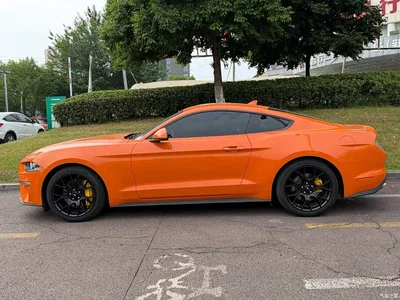 2021 Ford Mustang 2.3T EcoBoost, фото 3, лот 10280032