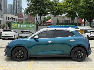 2024 Ora Good Cat 501km Premium, фото 4, лот 10332232