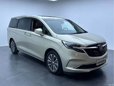 2021 Buick GL8 ES Landlord 653T Flagship, фото 3, лот 10254503