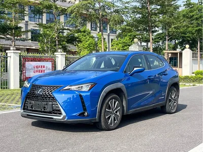 2020 Lexus UX Electric 300e Pure Yue Edition, фото 1, лот 10312089