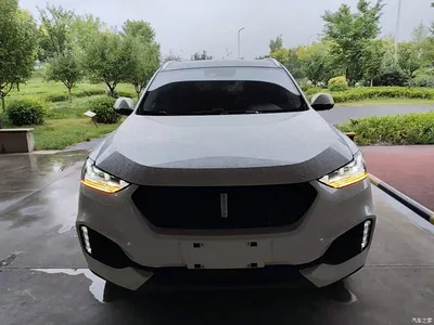 2018 WEY VV6 2.0T 4WD Flagship China V, фото 3, лот 10452299