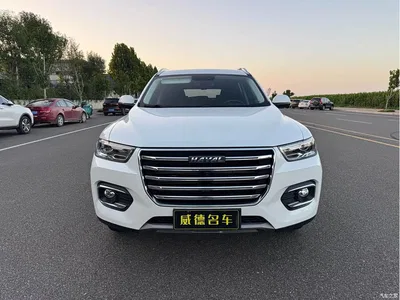2020 Haval H6 2.0GDIT Automatic Platinum Champion Edition, фото 3, лот 10296102