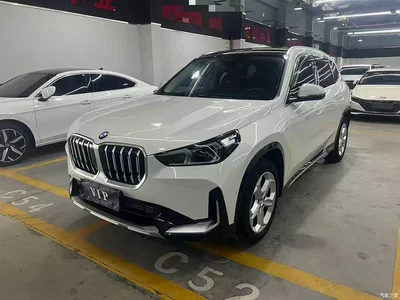2023 BMW X1 sDrive20Li X Design Package, фото 1, лот 10465870