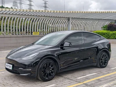 2021 Tesla Model Y Standard Range Rear-Wheel Drive, фото 1, лот 11074324