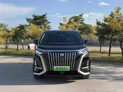 2022 Denza D9 EV 600 4WD Prestige Model, фото 2, лот 10449710