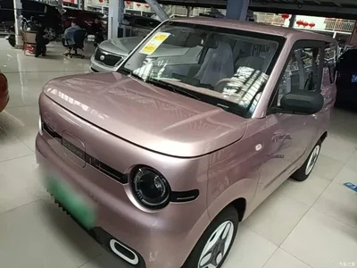2025 Geely Galaxy Panda mini 210km Vitality Bear, фото 1, лот 10433303