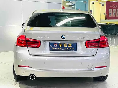2018 BMW 3 Series 318Li, фото 4, лот 11132952